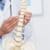 HOW DOES CHIROPRACTIC CARE PROMOTE OVERALL WELLNESS?