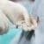 Chiropractic Care After an Epidural