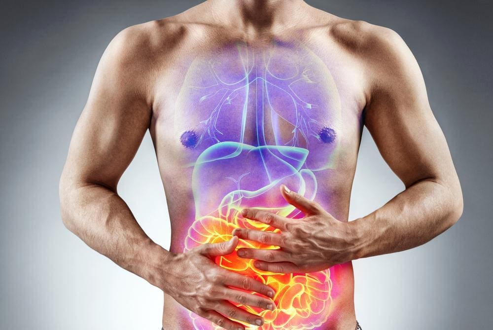 A diagram of the digestive system. 