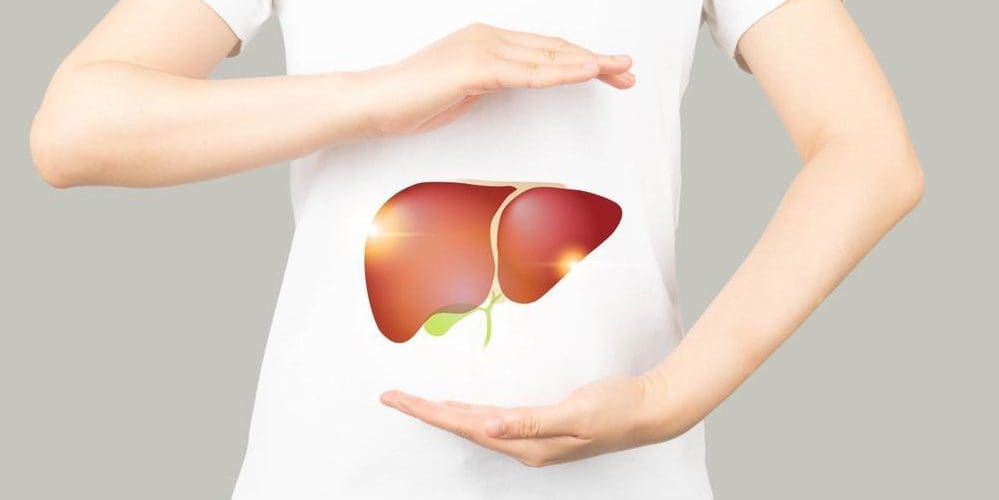a healthy liver