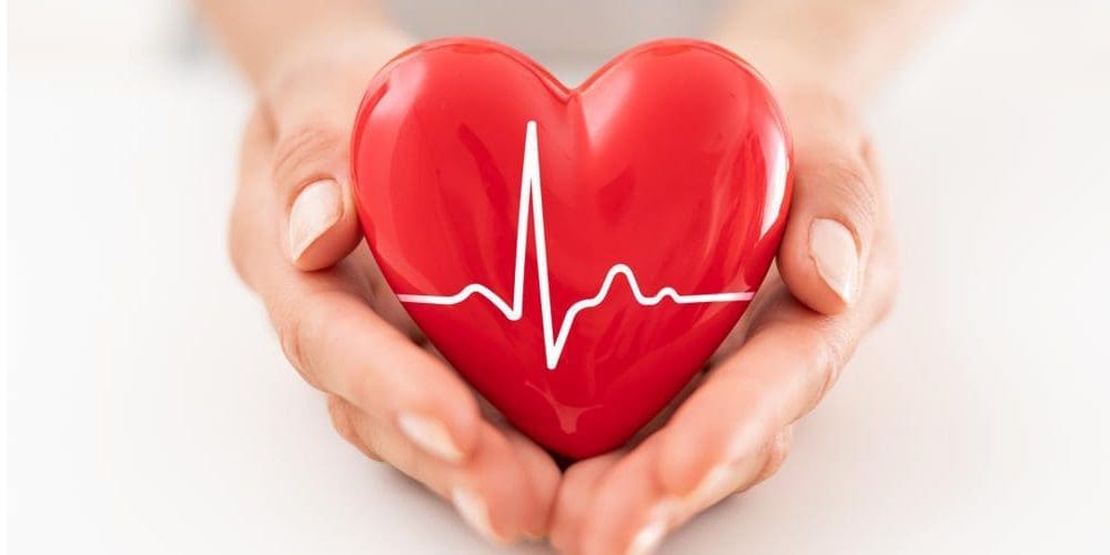 Woman's hand holding red heart with ECG baseline.