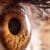 Alleviating Optic Nerve Swelling with Chiropractic Care