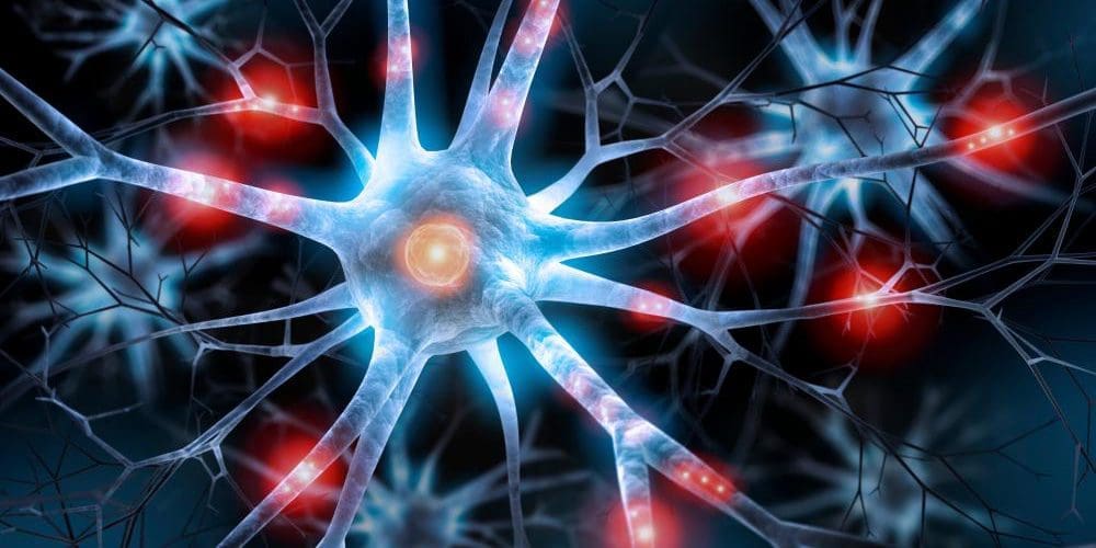 Illustration of activated nerve cell.