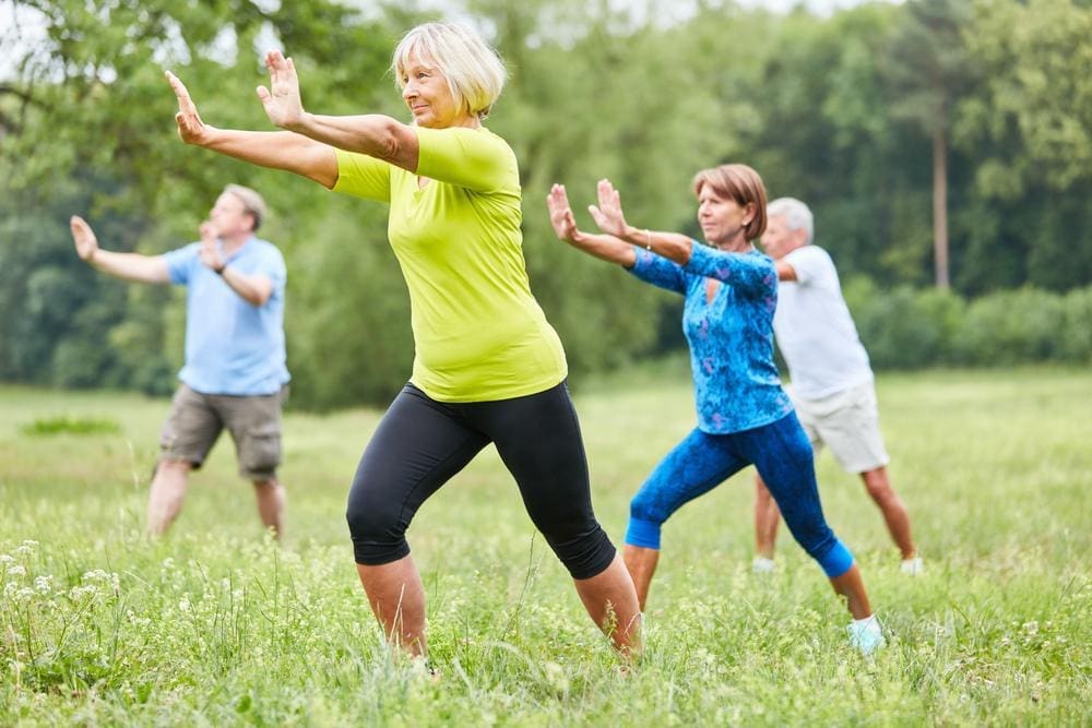 Group of people exercising in the park.