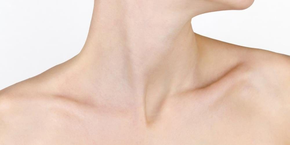 The human neck and collar bones.